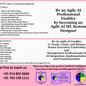 Artificial Intelligence Delegator and Enabler-Advanced Level, MLSD (AIDE-A, MLSD)